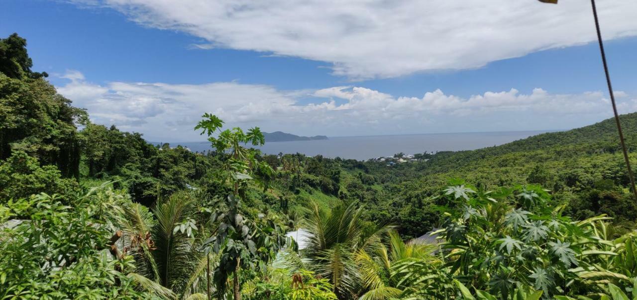 Escale Caraibes Lägenhet Trois-Rivières Exteriör bild